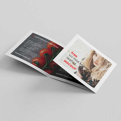 6pp Roll Folded Leaflets